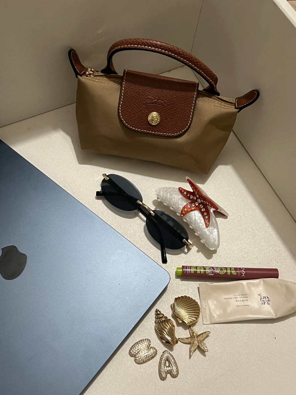 Longchamp Crossbody Bag with Strap - Small Brown (WITH LOGO)