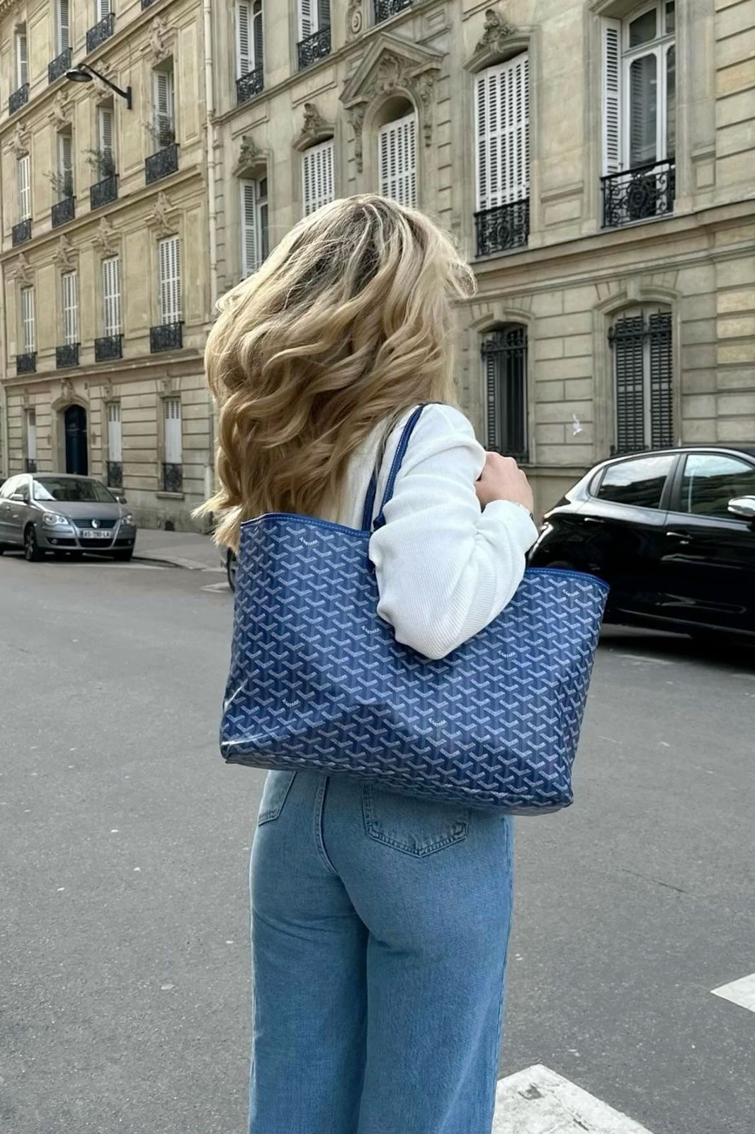 Goyard Tote Bag - Blue Medium (With Pouch)